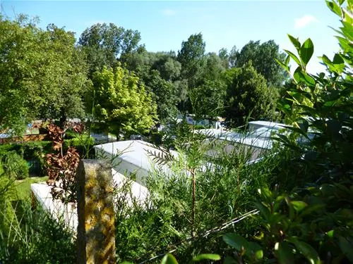 camping-reamerik-denderhoutem-0pbxz