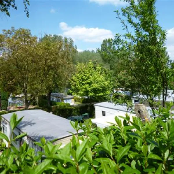camping-reamerik-denderhoutem-7p7ef