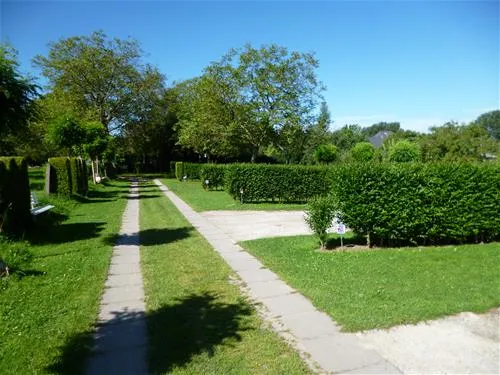 camping-reamerik-denderhoutem-d3lsi