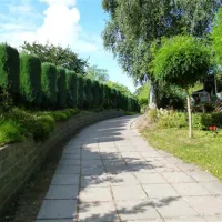 camping-reamerik-denderhoutem-hbwka