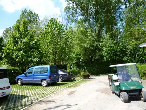 camping-reamerik-denderhoutem-pjnu6