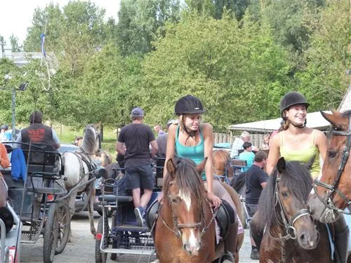 camping-reamerik-denderhoutem-vpava