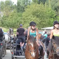 camping-reamerik-denderhoutem-vpava