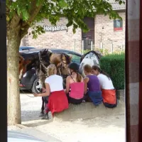 camping-reamerik-denderhoutem-w3dyr