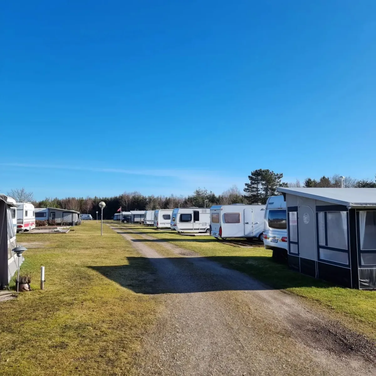 hvalpsund-familie-camping-fars-76c7v