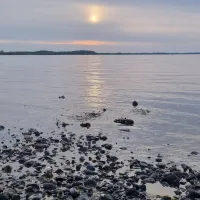 hvalpsund-familie-camping-fars-wvorc