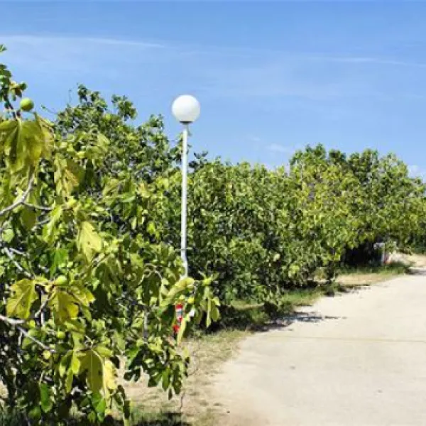 camping-jazina-tisno-q2uff