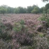 camping-jacobus-hoeve-stroe-mdmvt