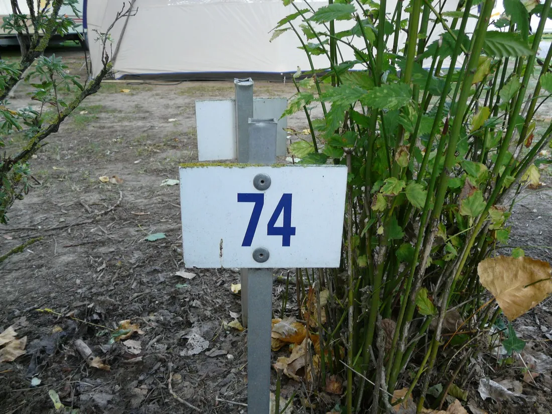 camping-du-port-de-plaisance-pronne-cgyqz