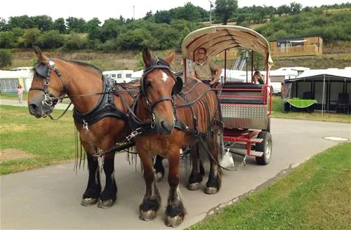 camping-kaul-wiltz-awloh