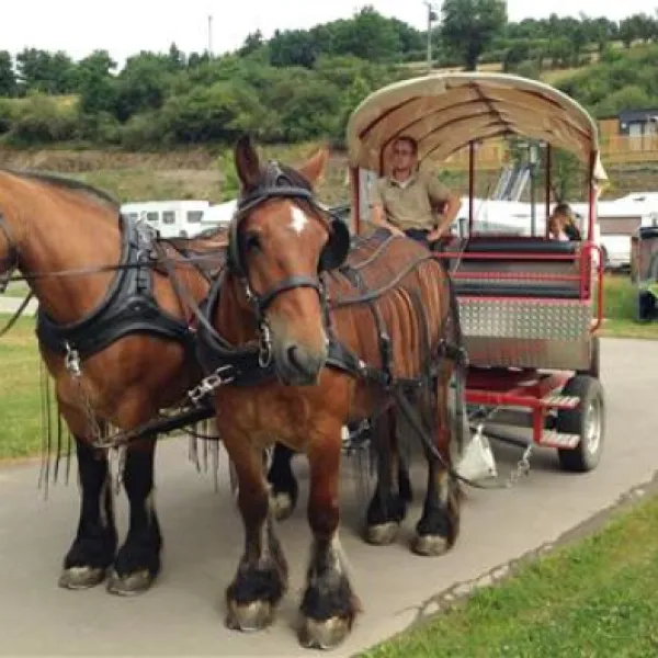 camping-kaul-wiltz-awloh