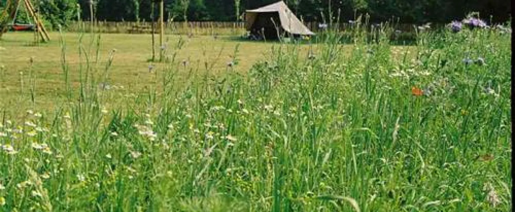 Natuurkampeerterrein Landgoed de Barendonk