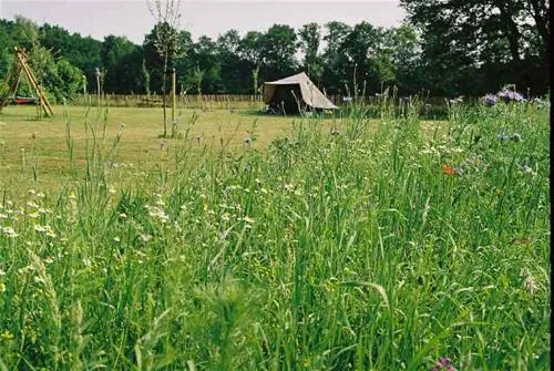 natuurkampeerterrein-landgoed-de-barendonk-beers-nb-syvk3