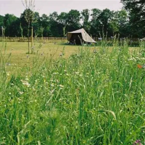 natuurkampeerterrein-landgoed-de-barendonk-beers-nb-syvk3