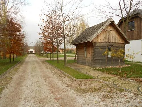 camping-kaputy-222-kaputy-k-warszawy-1cbxv