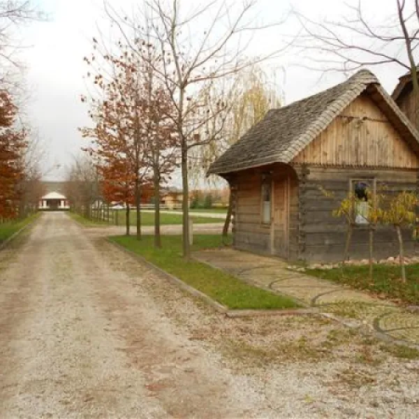 camping-kaputy-222-kaputy-k-warszawy-1cbxv