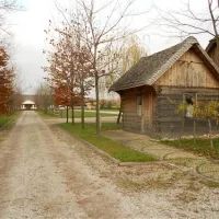 camping-kaputy-222-kaputy-k-warszawy-1cbxv