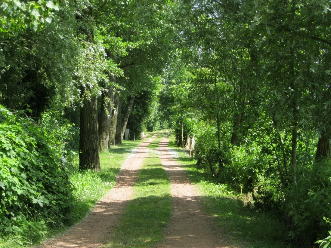 camping-kampeerbosje-leerdam-leerdam-zeay3