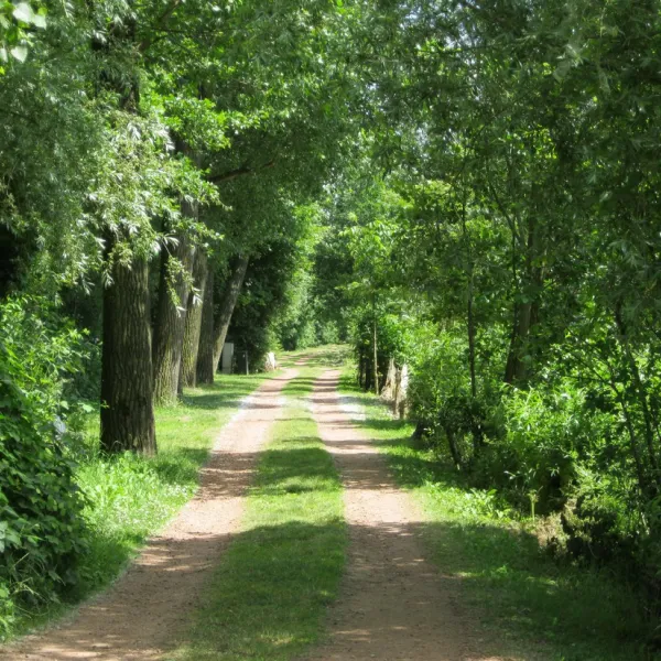 camping-kampeerbosje-leerdam-leerdam-zeay3