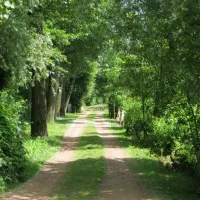 camping-kampeerbosje-leerdam-leerdam-zeay3