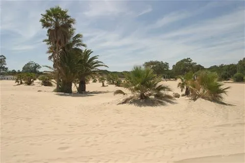 camping-playa-las-dunas-el-puerto-de-santa-mara-0xcns