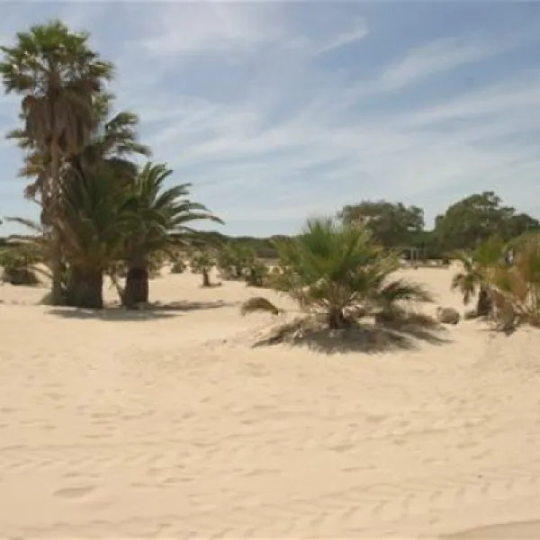 camping-playa-las-dunas-el-puerto-de-santa-mara-0xcns