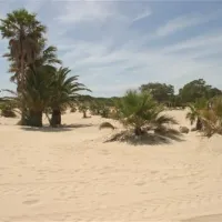 camping-playa-las-dunas-el-puerto-de-santa-mara-0xcns
