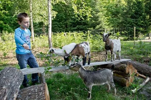 camping-porte-des-vosges-bulgnville-en7oe