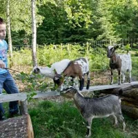 camping-porte-des-vosges-bulgnville-en7oe