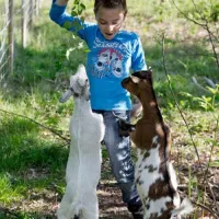 camping-porte-des-vosges-bulgnville-vfcal