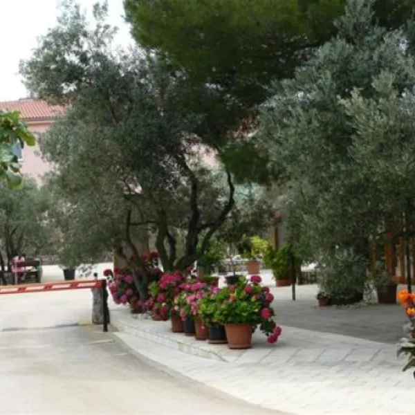 camping-bor-krk-adrhv