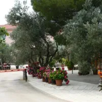 camping-bor-krk-adrhv