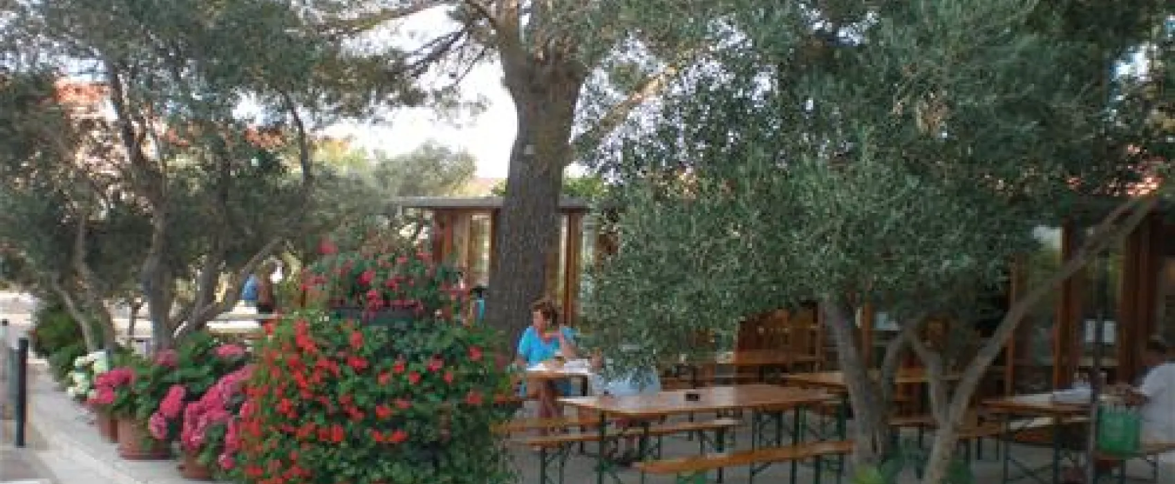 Camping Bor