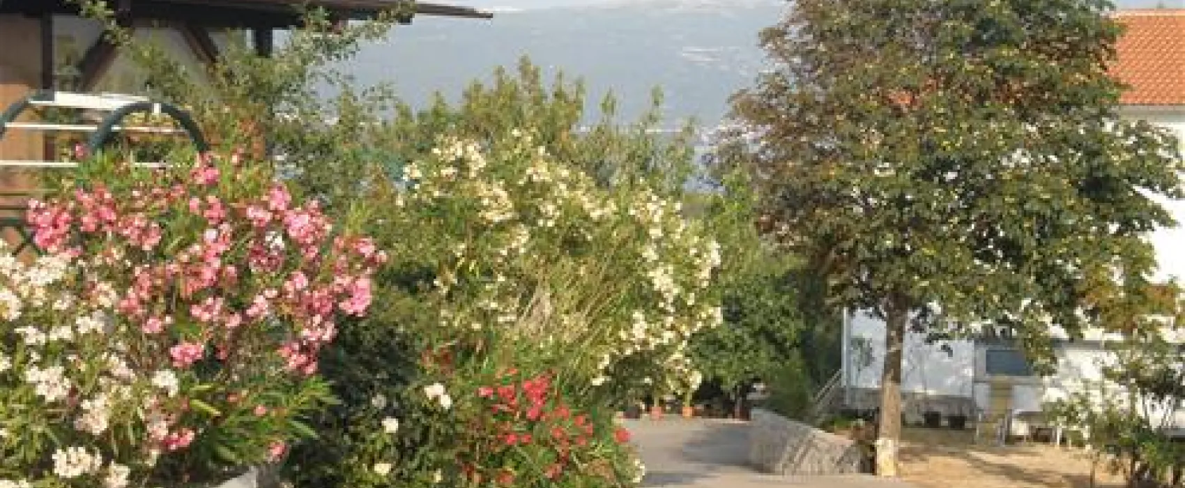 Camping Bor