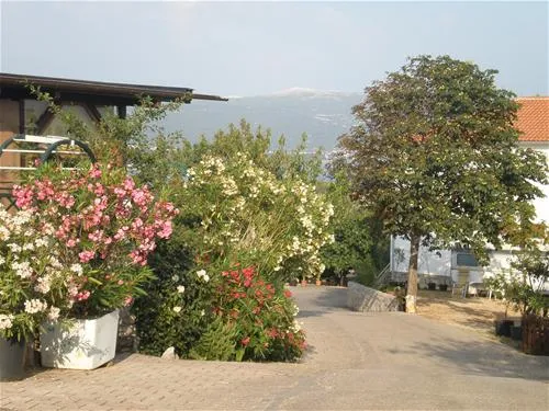 camping-bor-krk-wm6dg