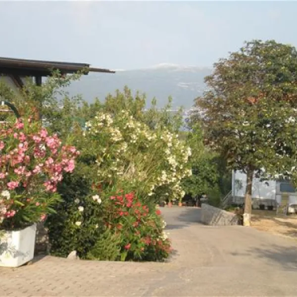camping-bor-krk-wm6dg