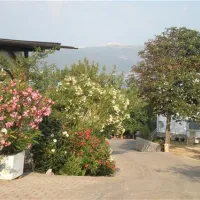 camping-bor-krk-wm6dg