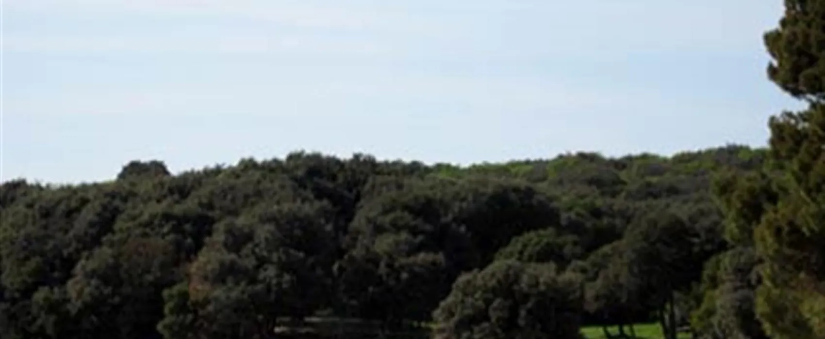 Camping Colone