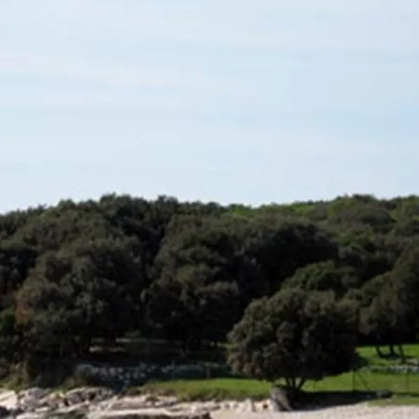 camping-colone-bale-gw5dw