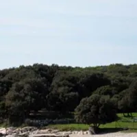 Camping Colone