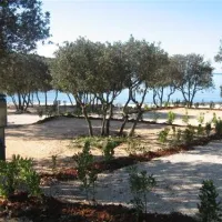 camping-colone-bale-jdiaq