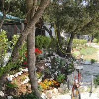 camping-colone-bale-rs4au