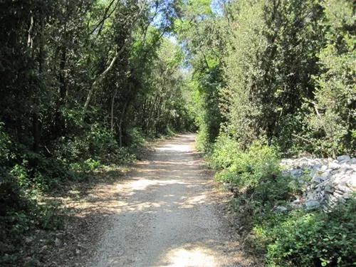 camping-colone-bale-t16mj