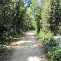 camping-colone-bale-t16mj