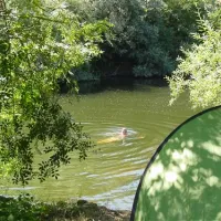 quinta-do-rio-canedo-de-basto-3plkc
