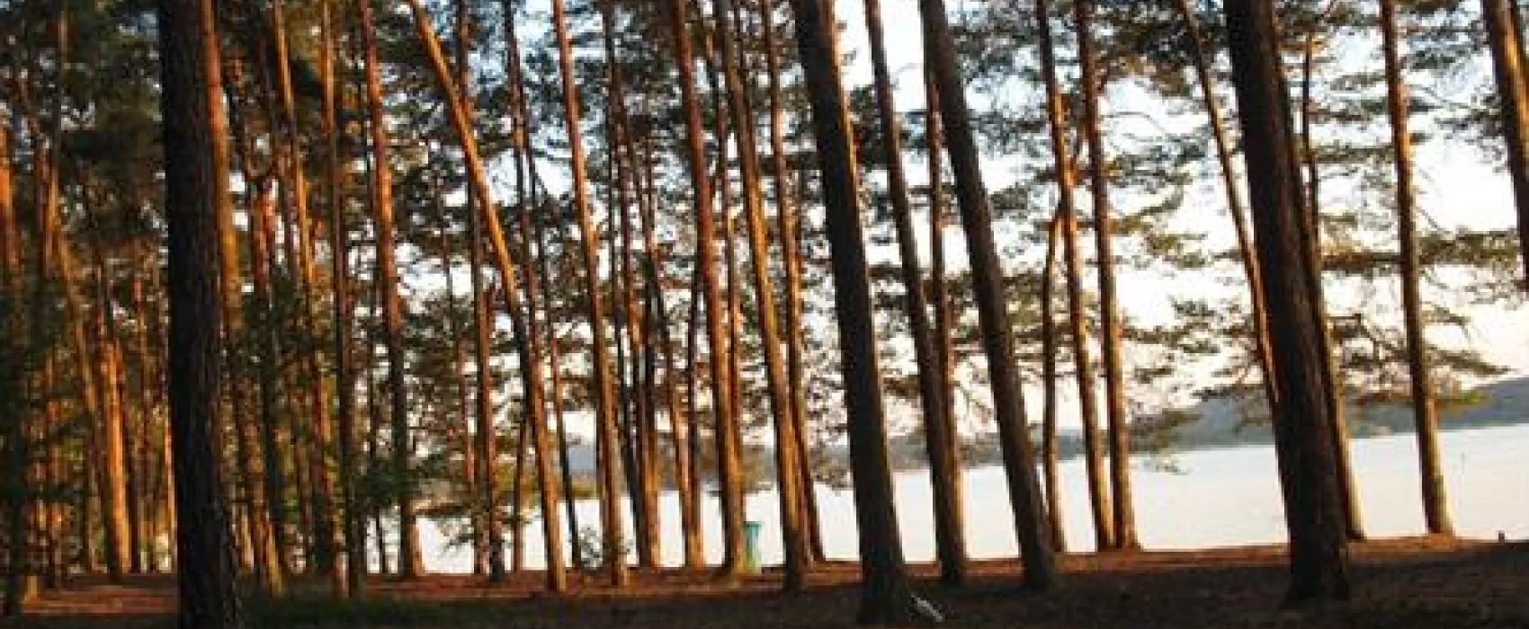 Camp Borny