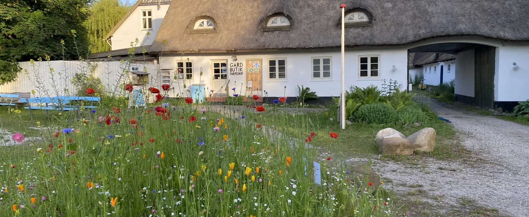 Byaasgaard - Farm Shop & Camping