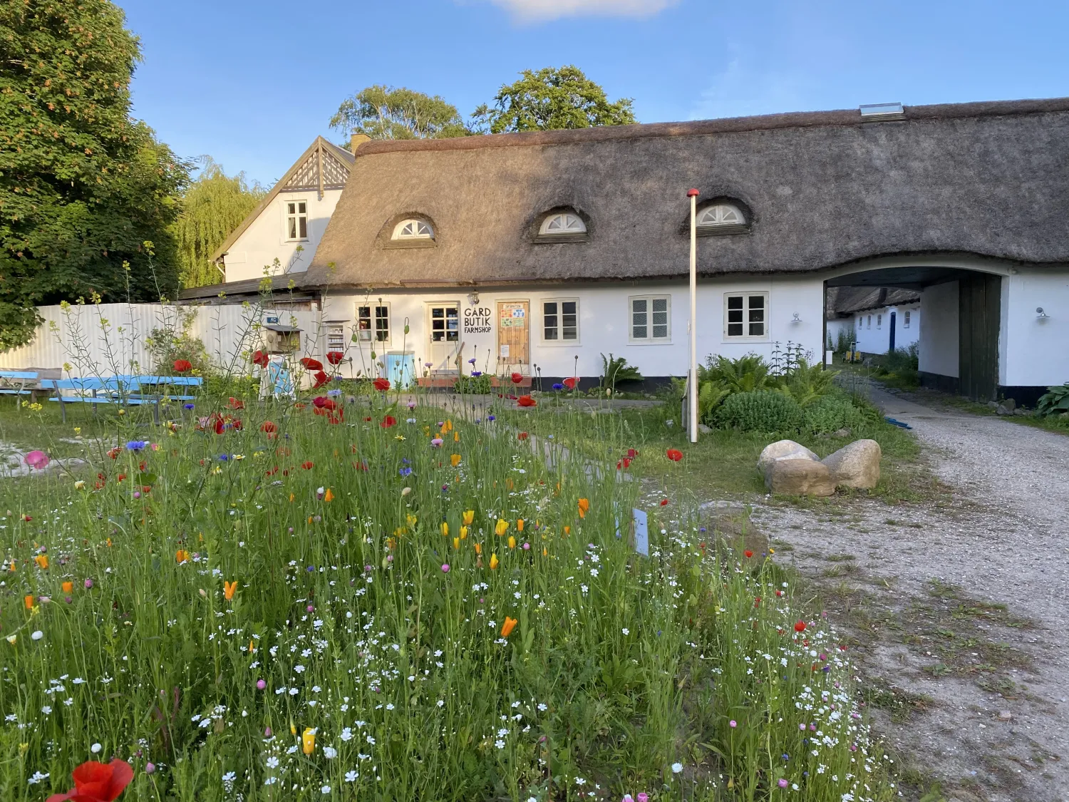 byaasgaard-camping-hundested-dywkt