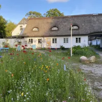 byaasgaard-camping-hundested-dywkt