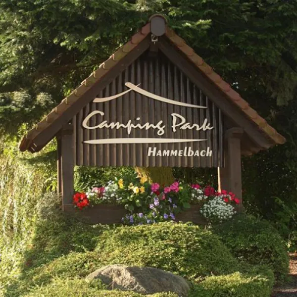 camping-park-hammelbach-grasellenbachhammelbach-e3y5x